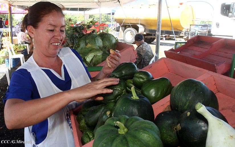 MERCADO1