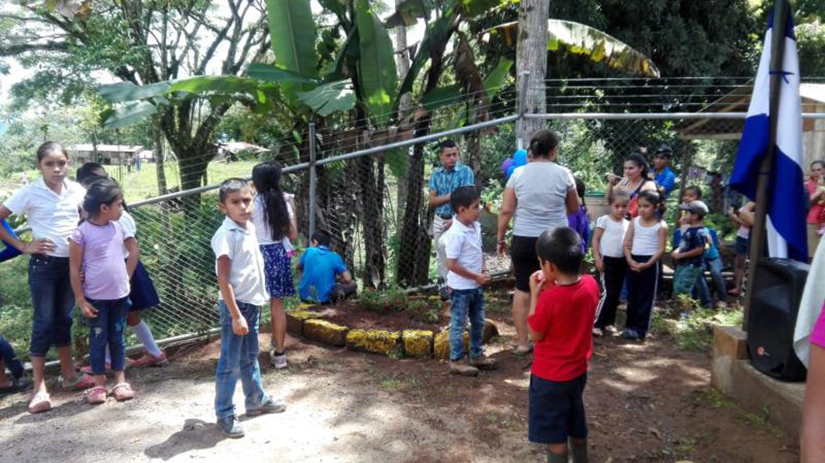 proyectos