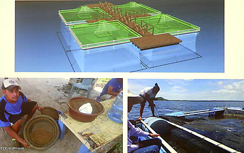INPESCA1