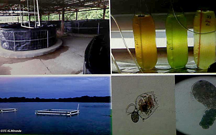 INPESCA1