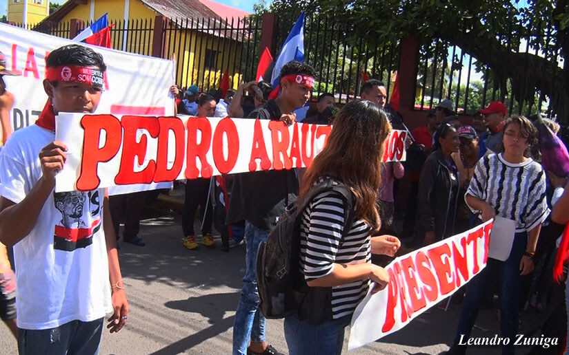 arauz1