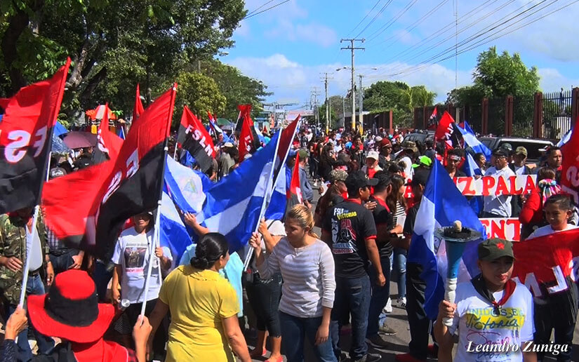 arauz1