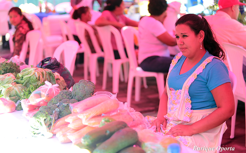 feria1