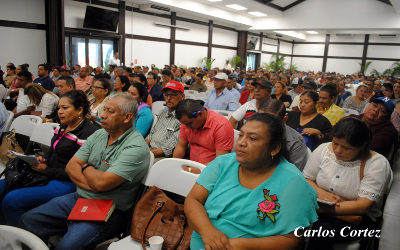 ALCALDE2