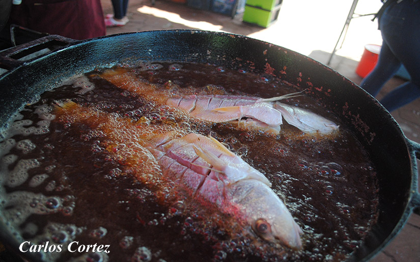MARISCOS2