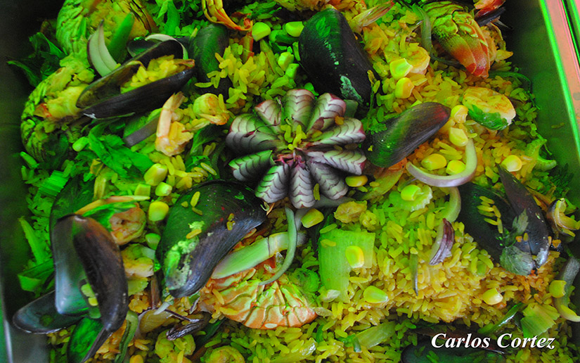 MARISCOS2
