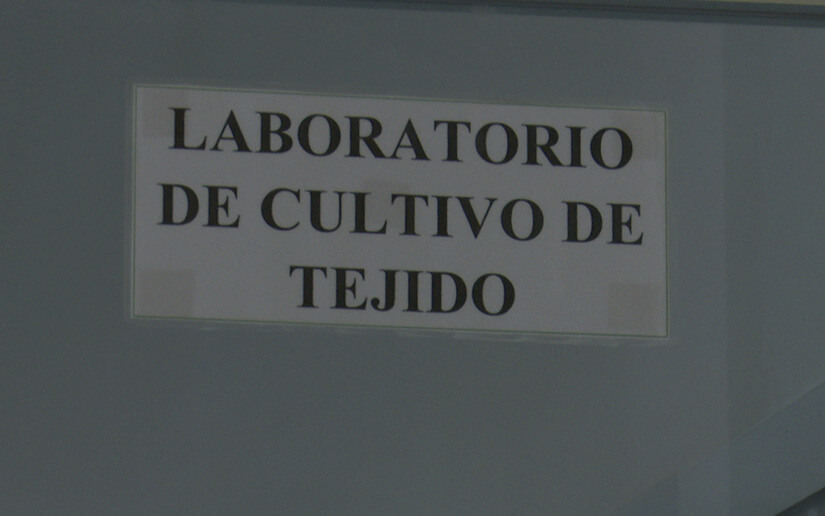 MISION1