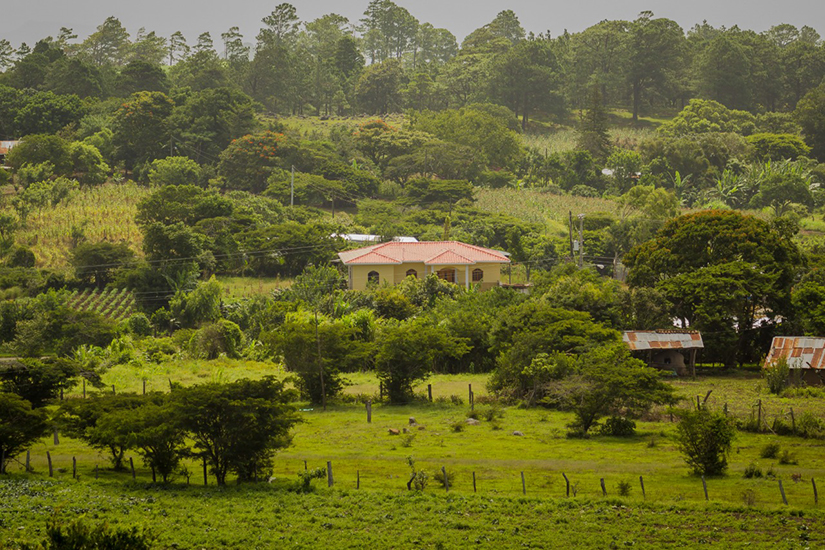 esteli