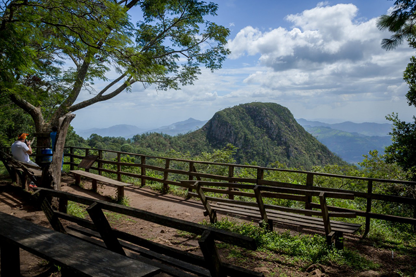 esteli