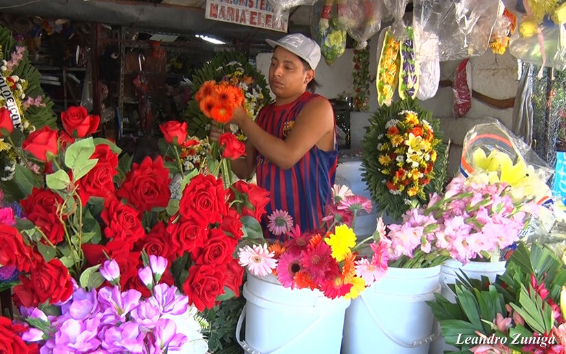 flores