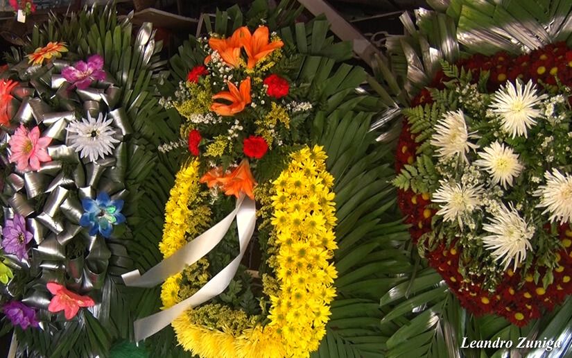 flores