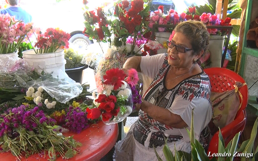 flores