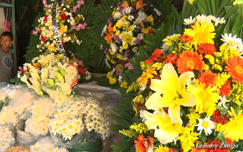 flores