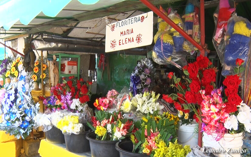 flores