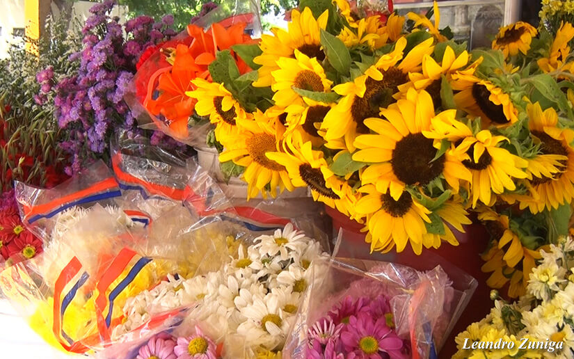 flores
