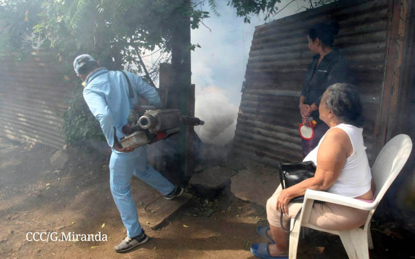fumigación