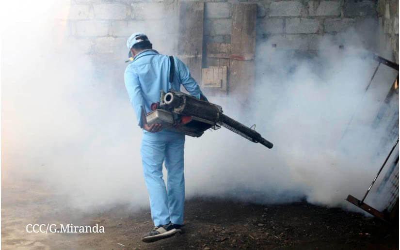 fumigación