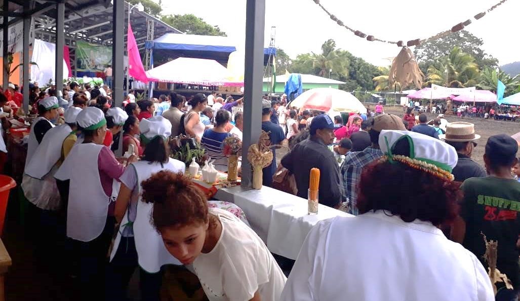 Jalapa1