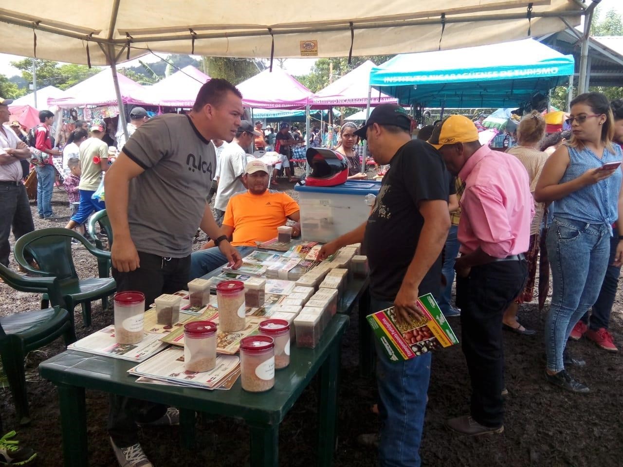 JALAPA2