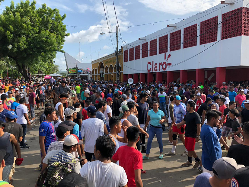 toros