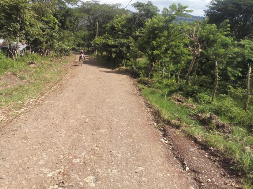 caminos