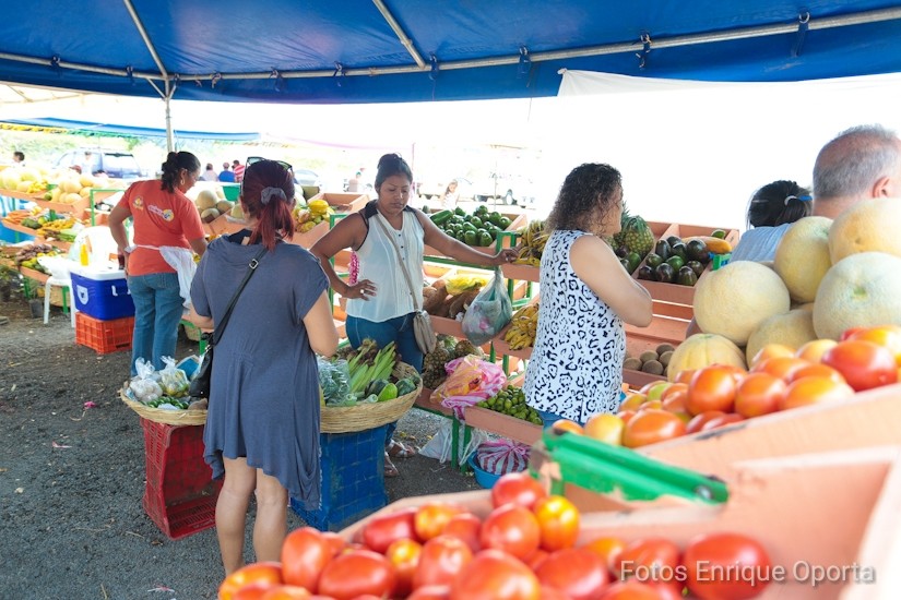 mercado-campesino-managua