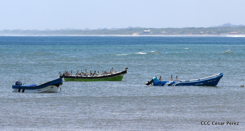 masachapa-pochomil