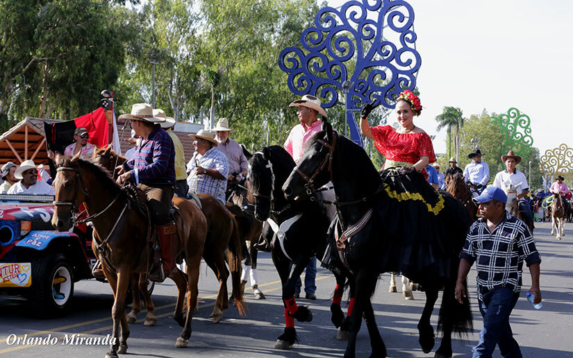 HIPICO2