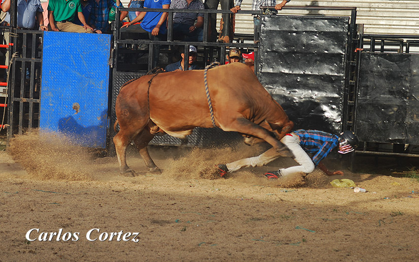 TOROS3