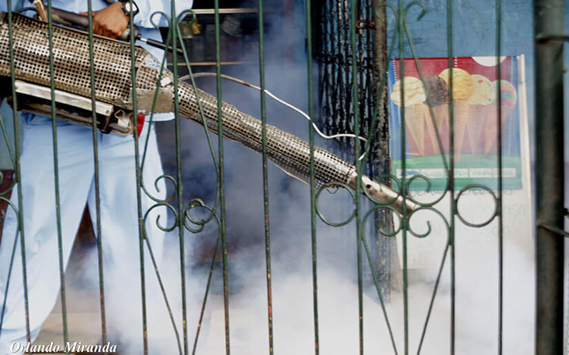 dengue3