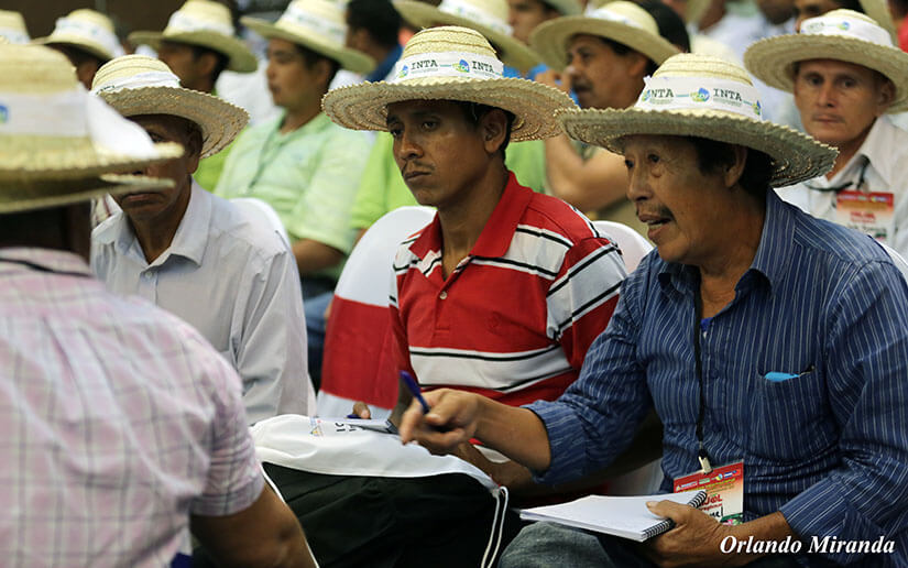 congreso-frijol