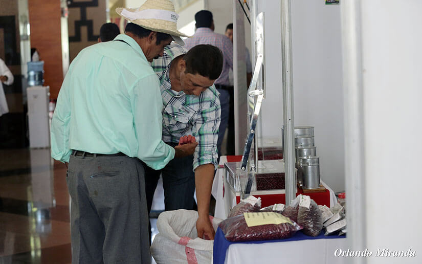 congreso-frijol