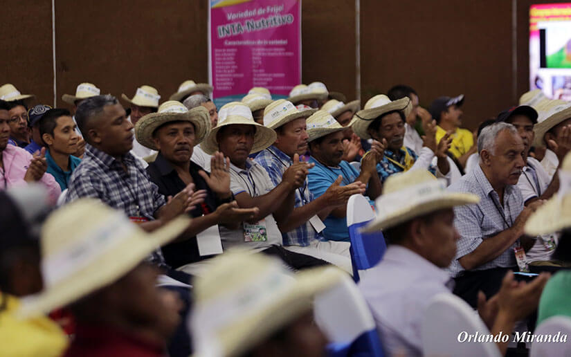 congreso