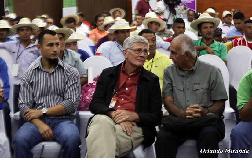 congreso