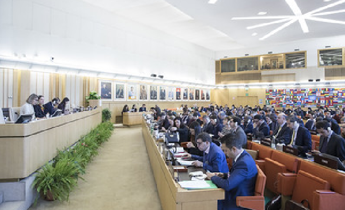 FAO-Nicaragua