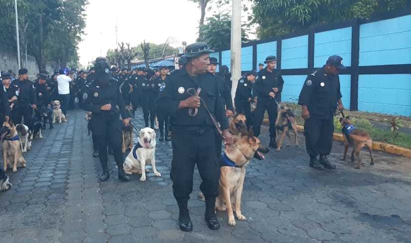 policia-plan-maria