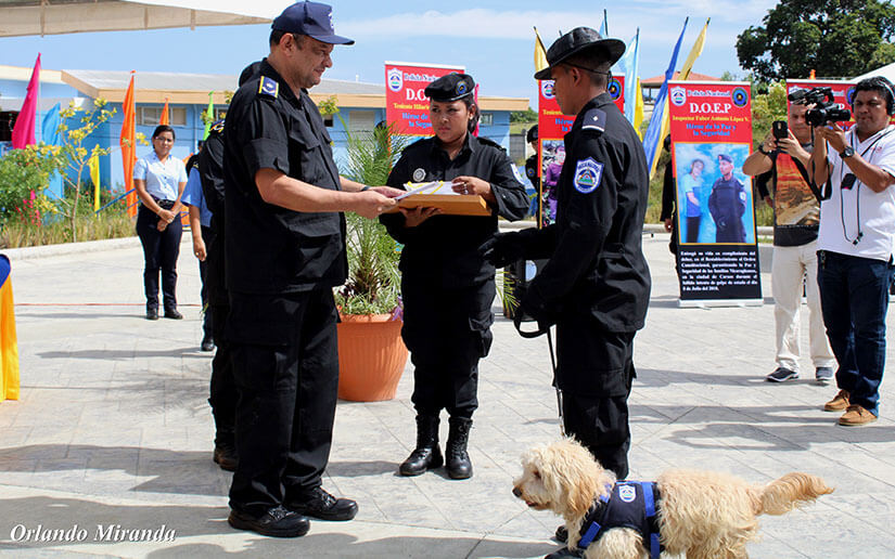policia-canes-curso