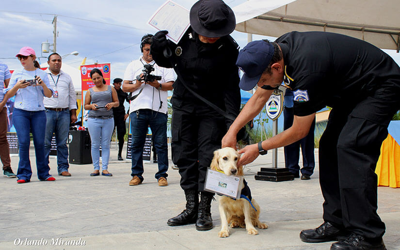 policia-canes-curso