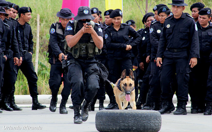policia-canes-curso