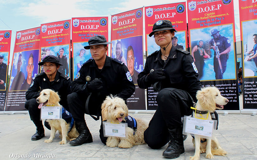 policia-canes-curso