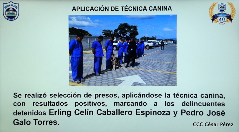 policia-esclarece-asesinato