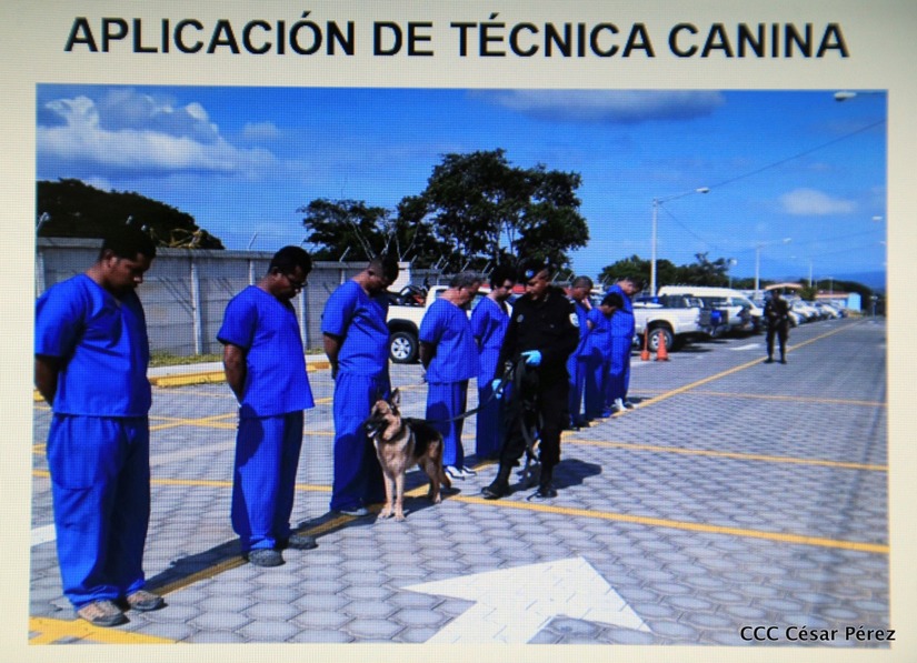 policia-esclarece-asesinato