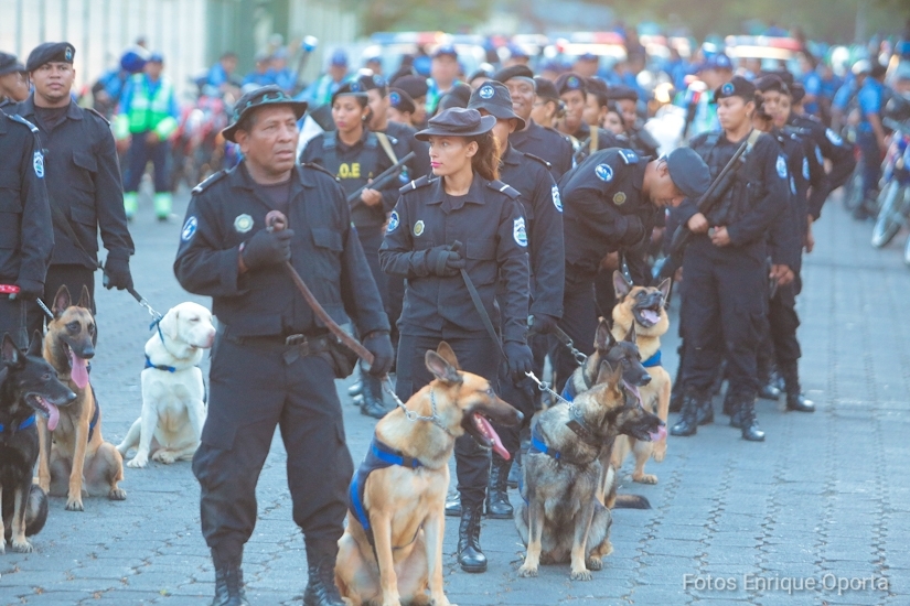 policia