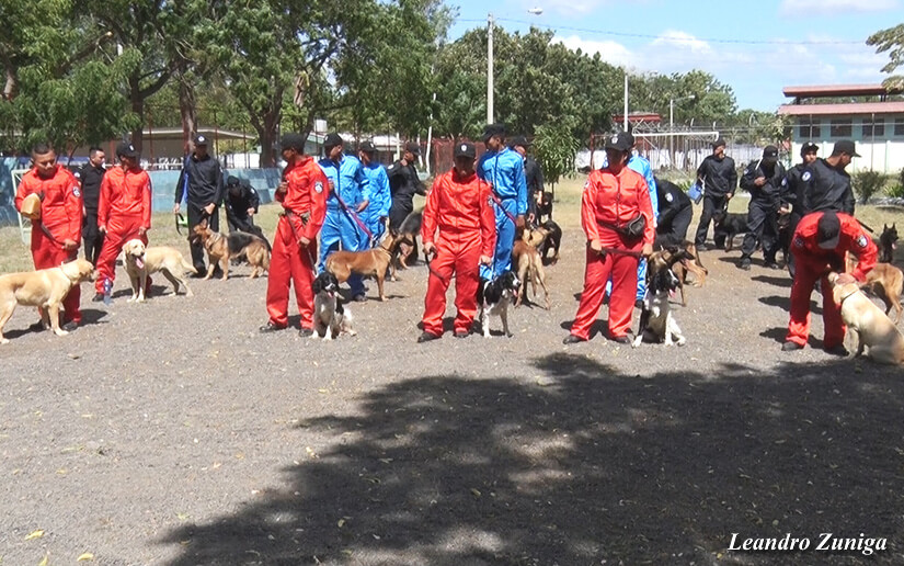 TECNICA2