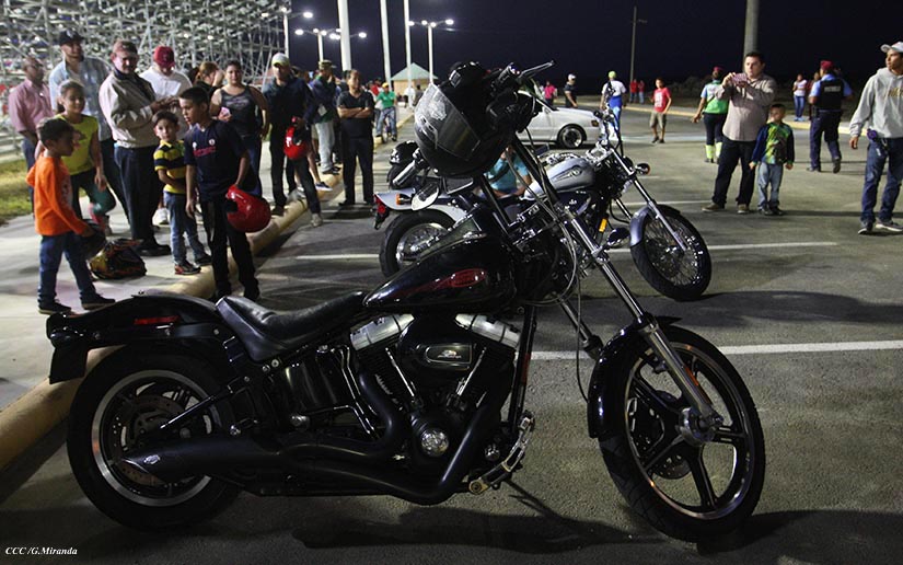 HARLEY1