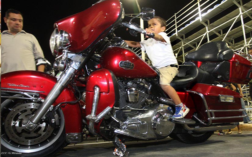 HARLEY1