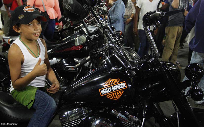 HARLEY1