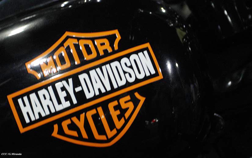 HARLEY1