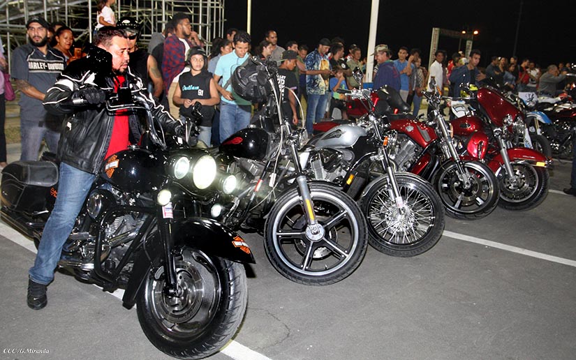 HARLEY1