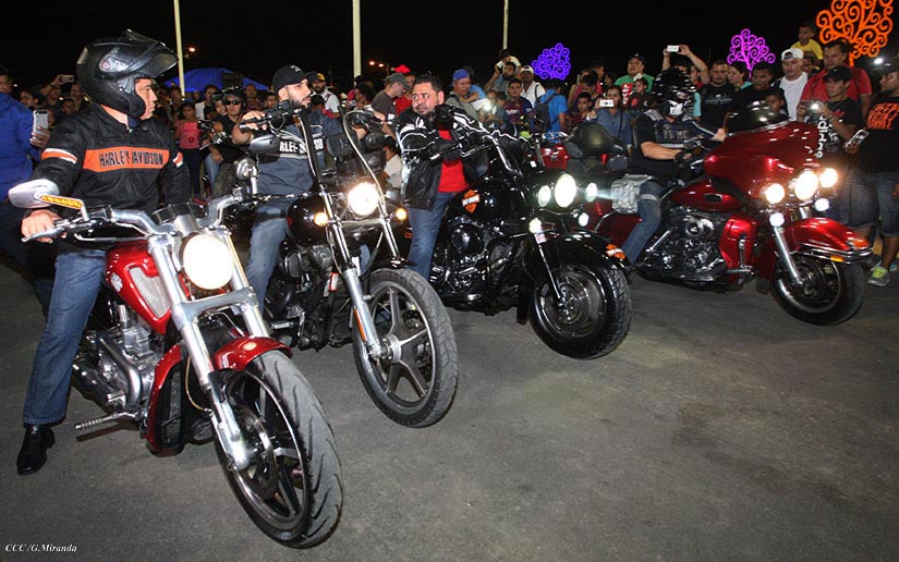 HARLEY1